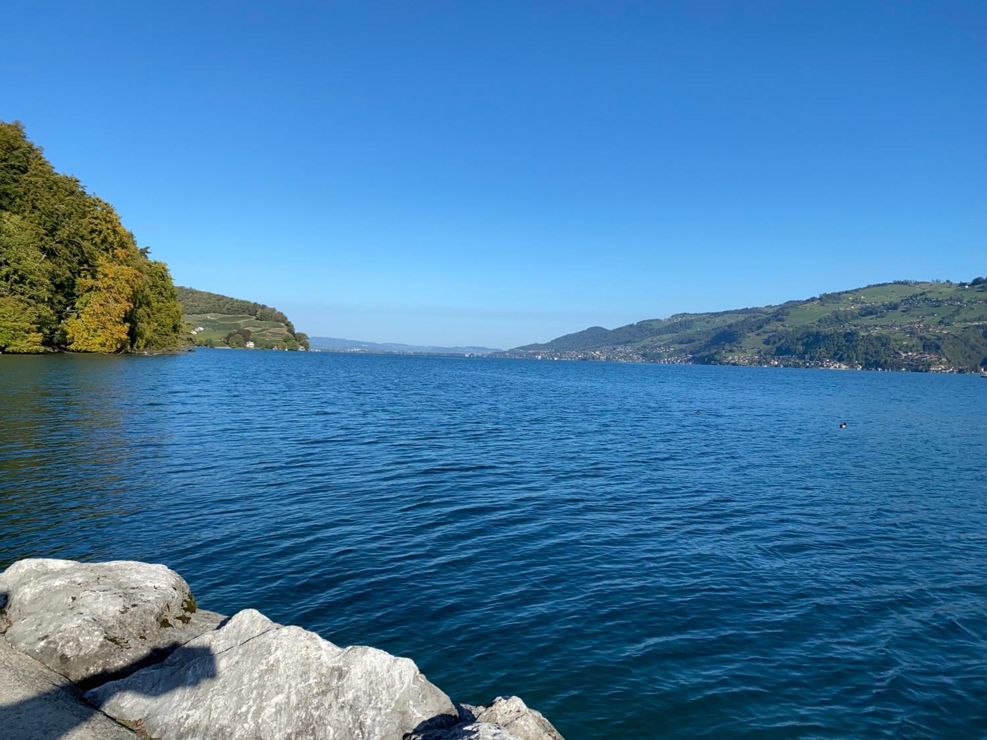 See Und Berge Family Faulensee Zewnętrze zdjęcie