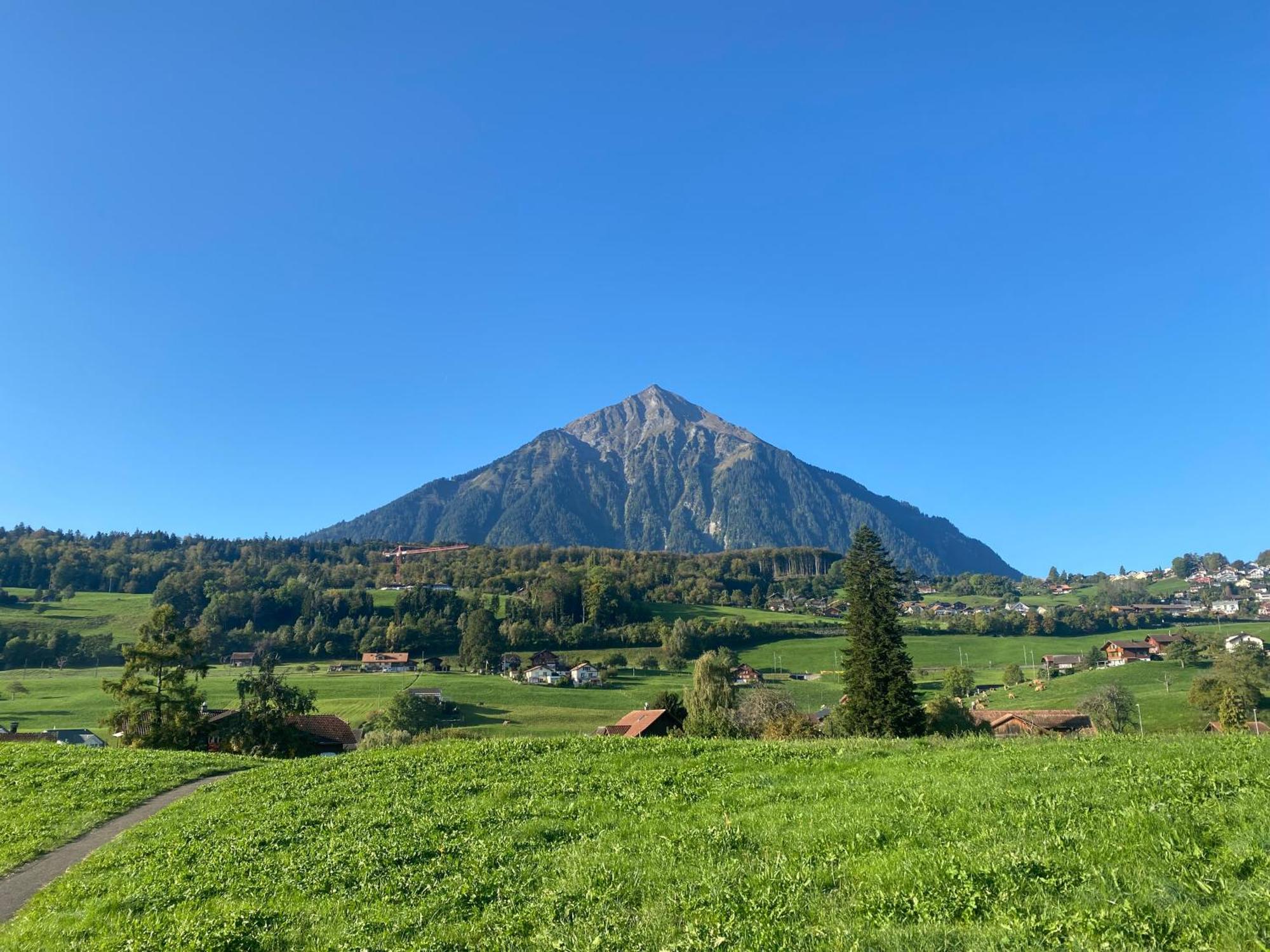 See Und Berge Family Faulensee Zewnętrze zdjęcie